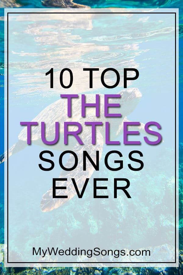 the turtles songs